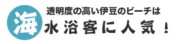 透明度の高い伊豆ビーチは海水浴客に人気！